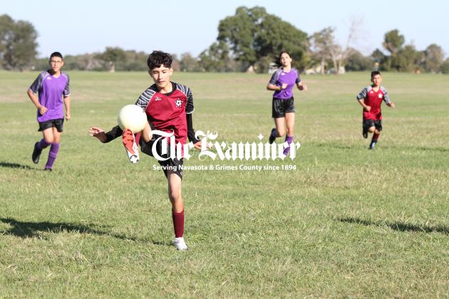 Article Image Alt Text