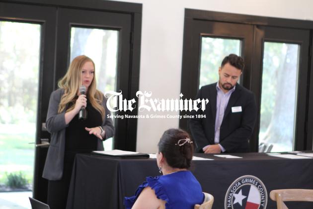 Article Image Alt Text