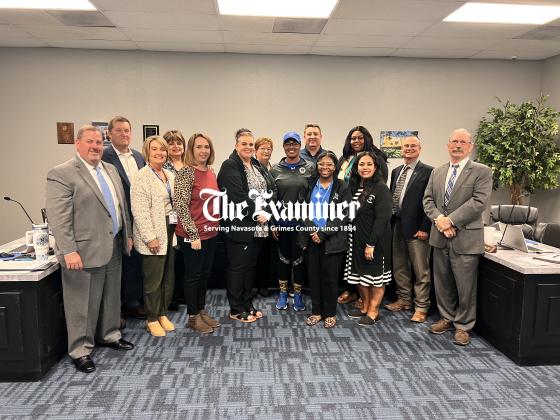 Article Image Alt Text