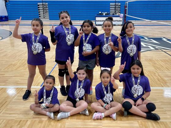 Article Image Alt Text