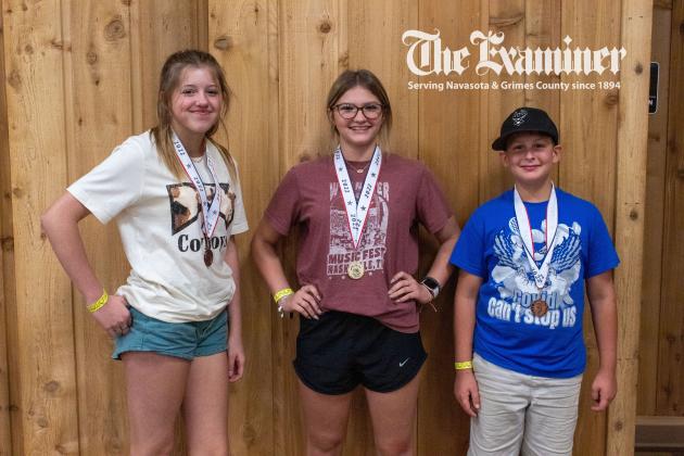 Article Image Alt Text