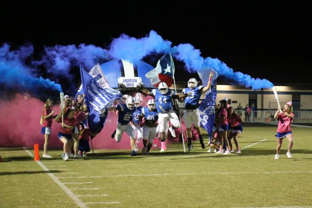 Article Image Alt Text