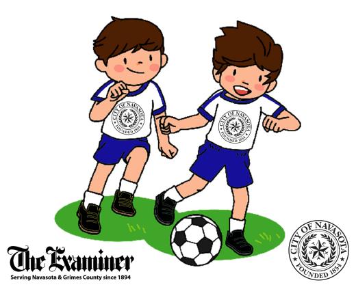 Article Image Alt Text