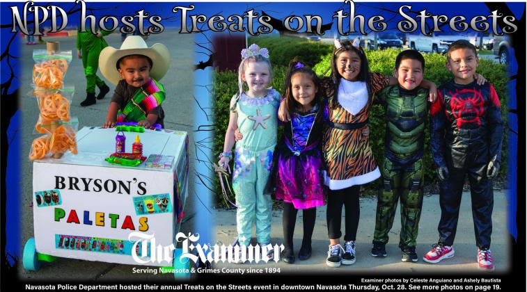 Article Image Alt Text