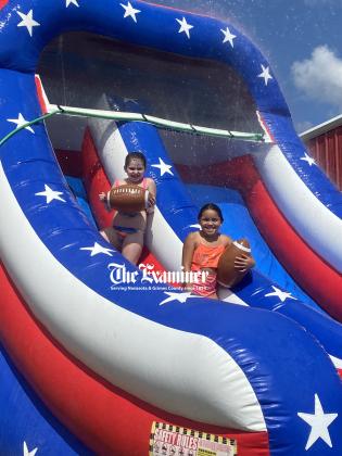 Article Image Alt Text