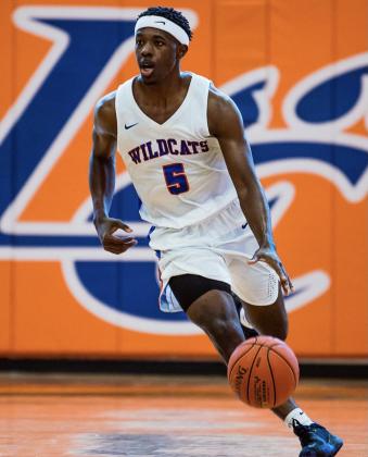 Article Image Alt Text