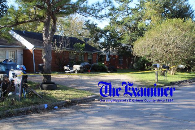 Article Image Alt Text