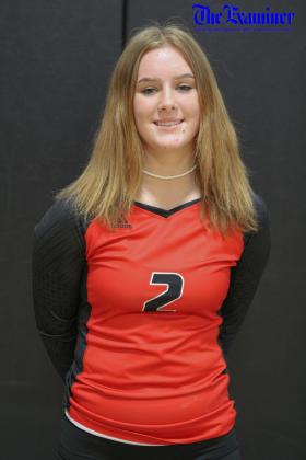 Article Image Alt Text