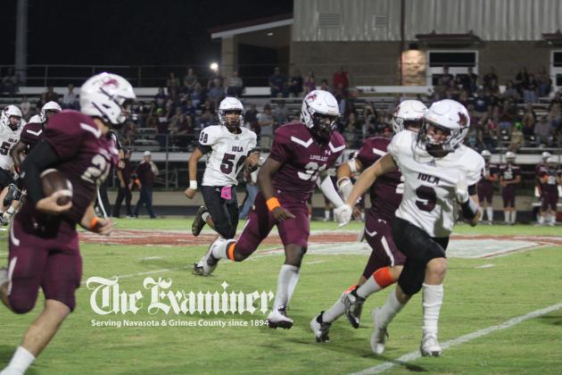 Article Image Alt Text