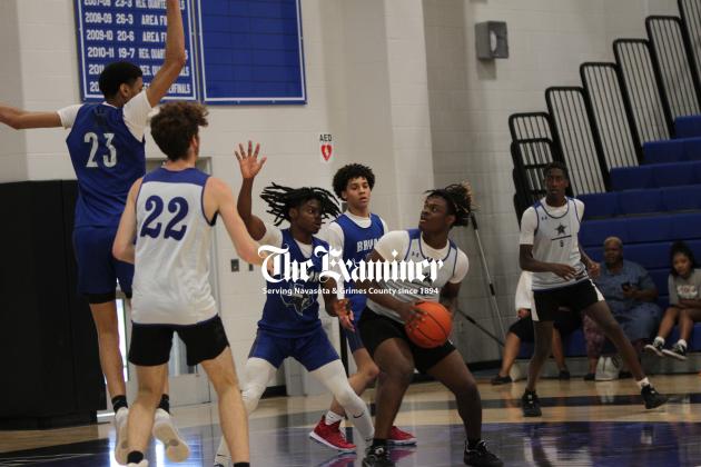 Article Image Alt Text