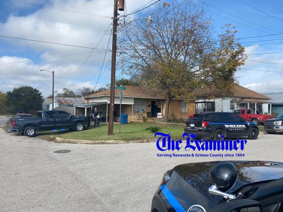 EXAMINER PHOTO Article Image Alt Text