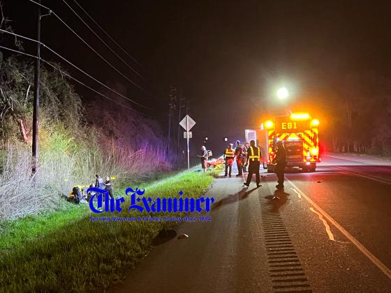 Article Image Alt Text