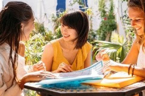 Article Image Alt Text