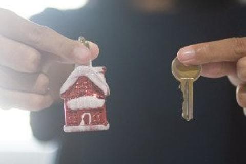 Article Image Alt Text