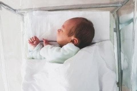 Article Image Alt Text