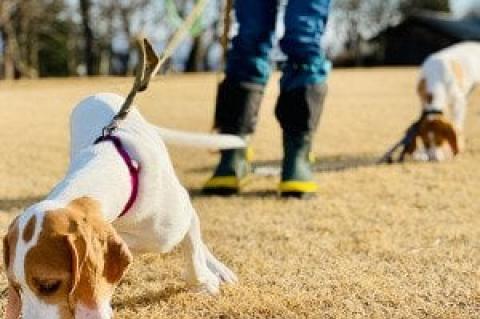 Article Image Alt Text