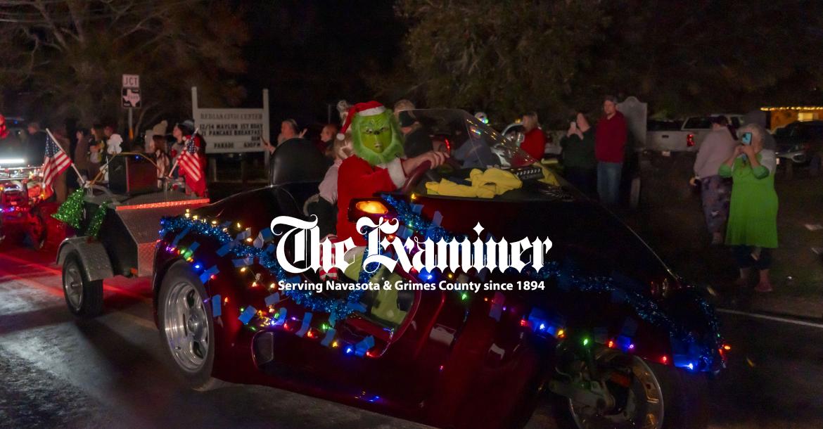 Article Image Alt Text