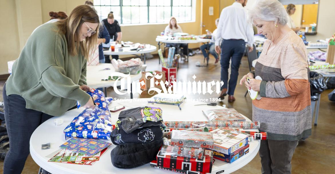 Article Image Alt Text