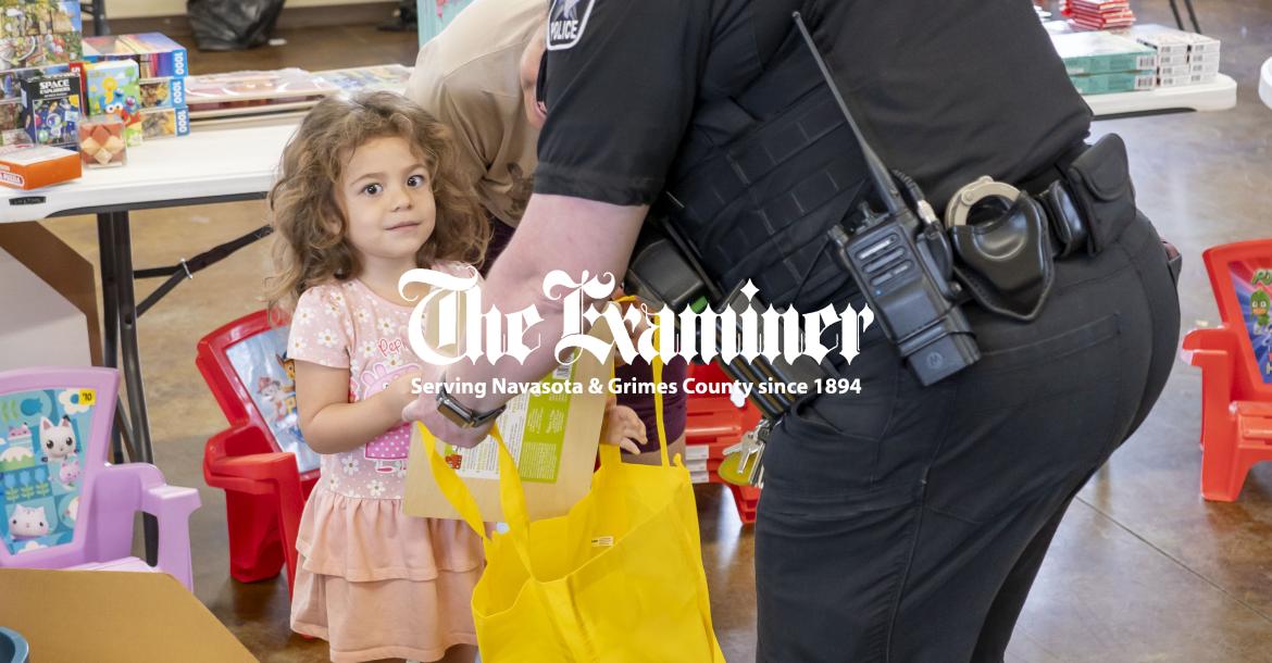 Article Image Alt Text