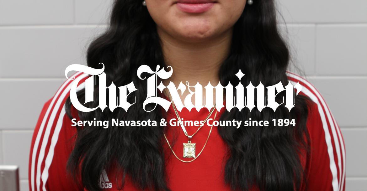 Article Image Alt Text