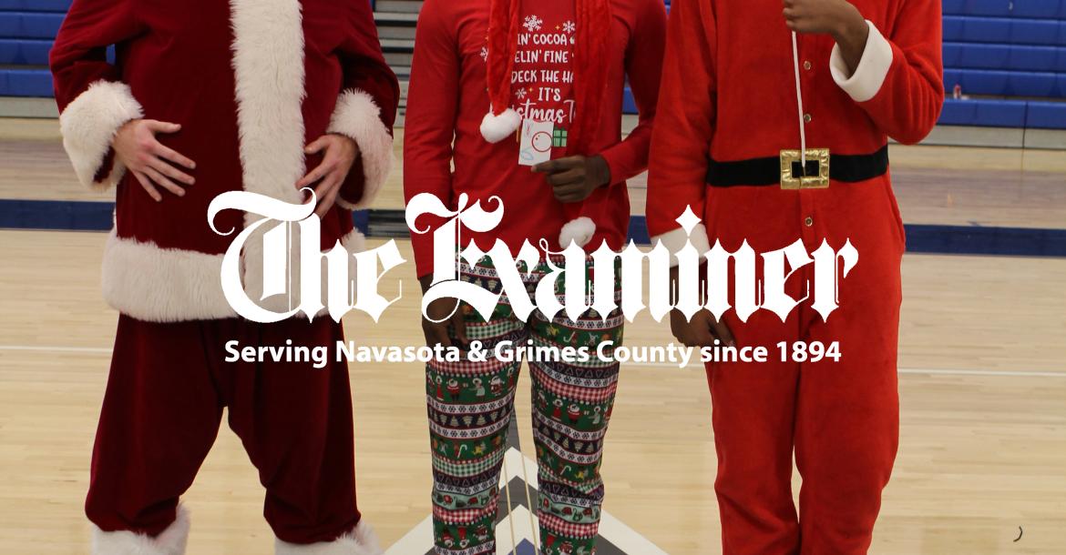 Article Image Alt Text