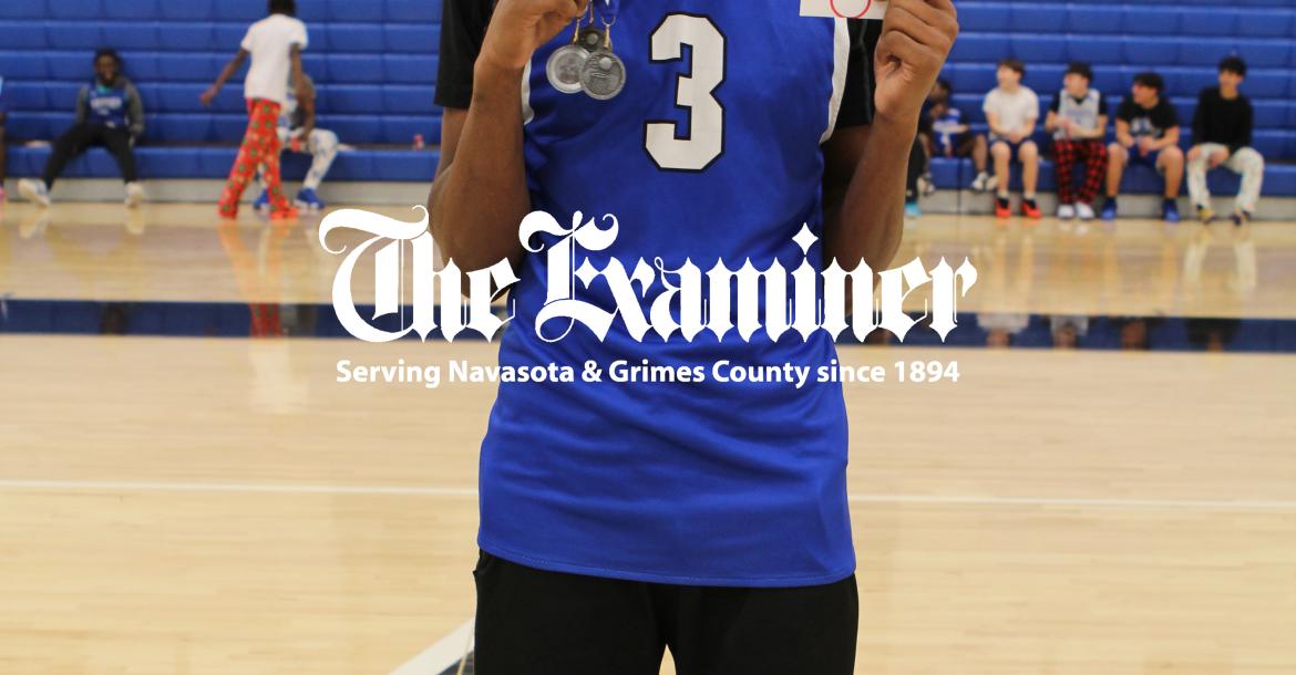 Article Image Alt Text