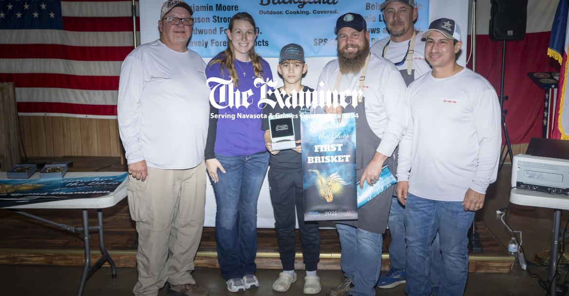 Article Image Alt Text