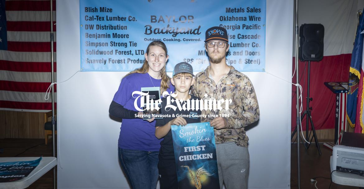 Article Image Alt Text