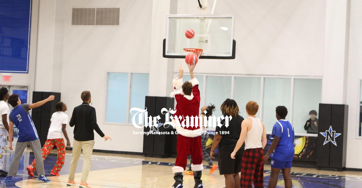 Article Image Alt Text