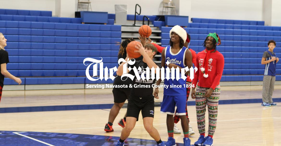 Article Image Alt Text