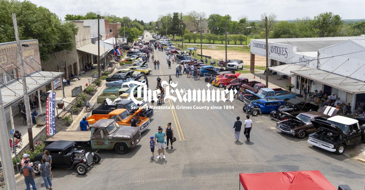 Article Image Alt Text