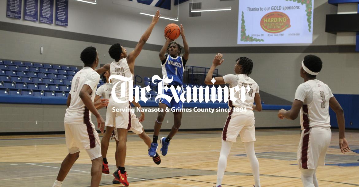 Article Image Alt Text