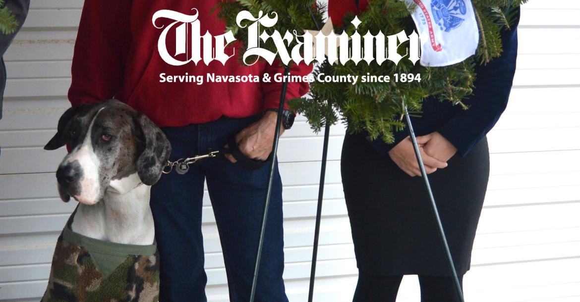 Article Image Alt Text