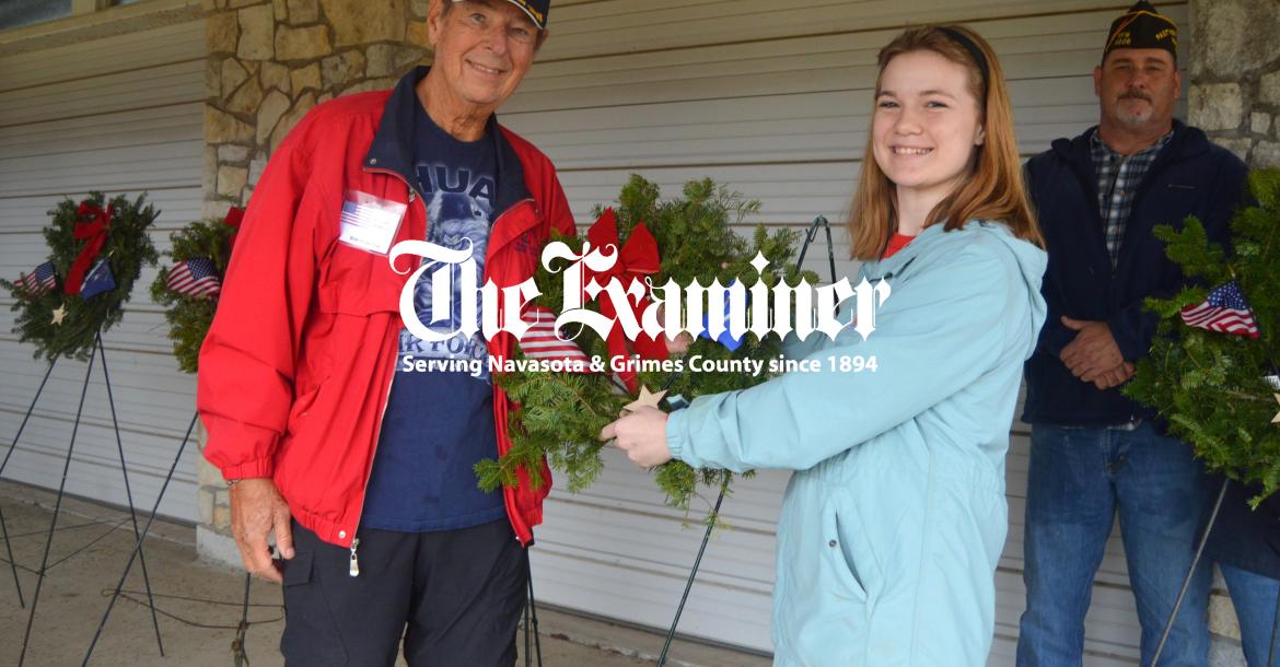 Article Image Alt Text