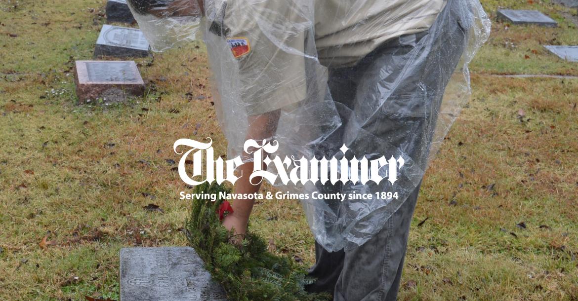 Article Image Alt Text