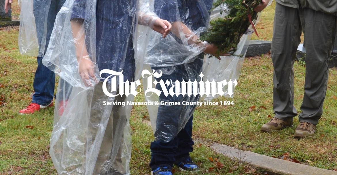 Article Image Alt Text