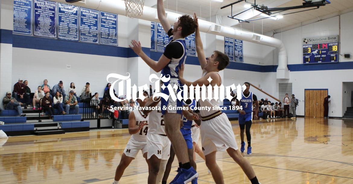 Article Image Alt Text