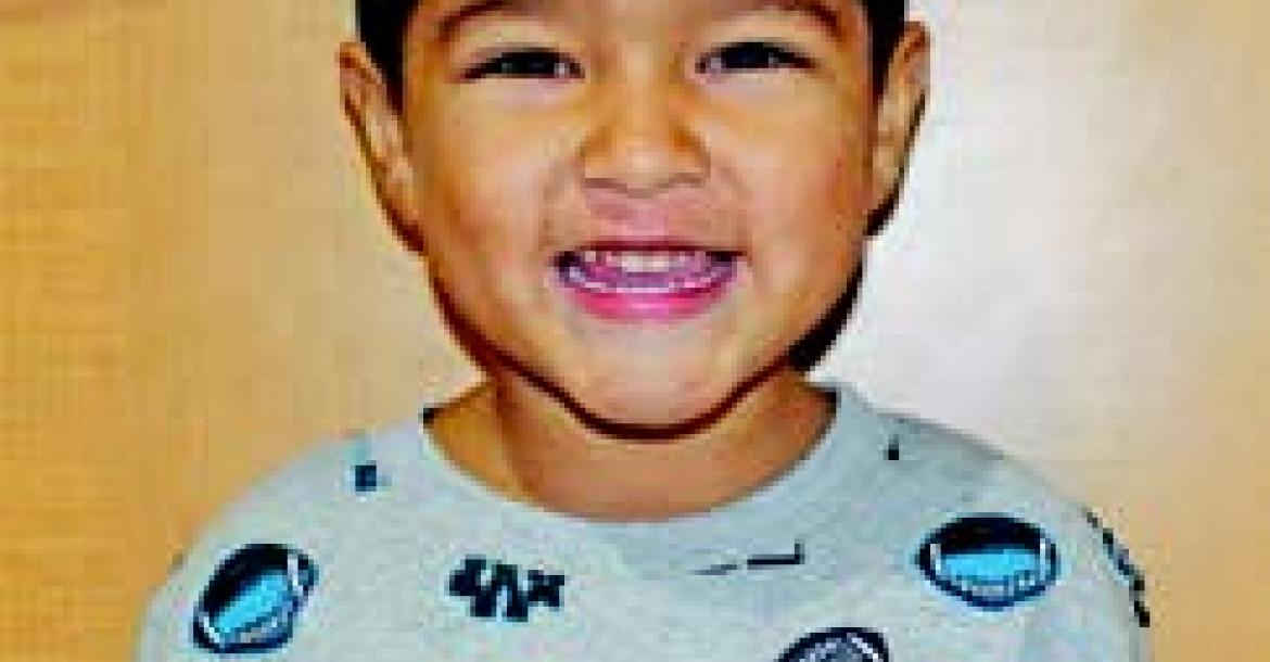 Article Image Alt Text