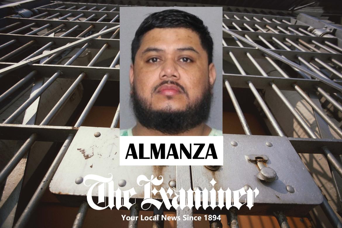 Article Image Alt Text