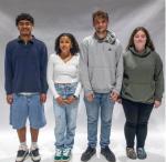 Article Image Alt Text