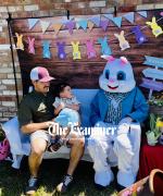 Article Image Alt Text