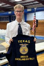 Article Image Alt Text