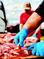 Article Image Alt Text