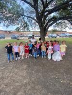 Article Image Alt Text