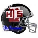 Article Image Alt Text